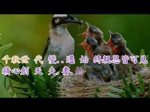曲47 敬神愛主念親恩 福音粵韻 子喉分享