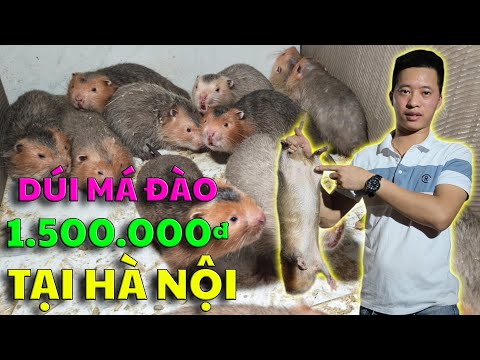 4 Sai Lầm