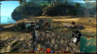 Guild Wars 2 - Drowning on ground Animation Glitch