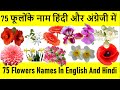 Flowers name |  Popular Flower names  |  फूलों के नाम  | Phoolon Ke Naam | Flower with Picture