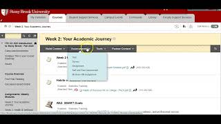 Creating a Safe Assignment in BlackBoard
