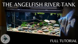 GORGEOUS ANGELFISH RIVER AQUARIUM! (Complete Tutorial)