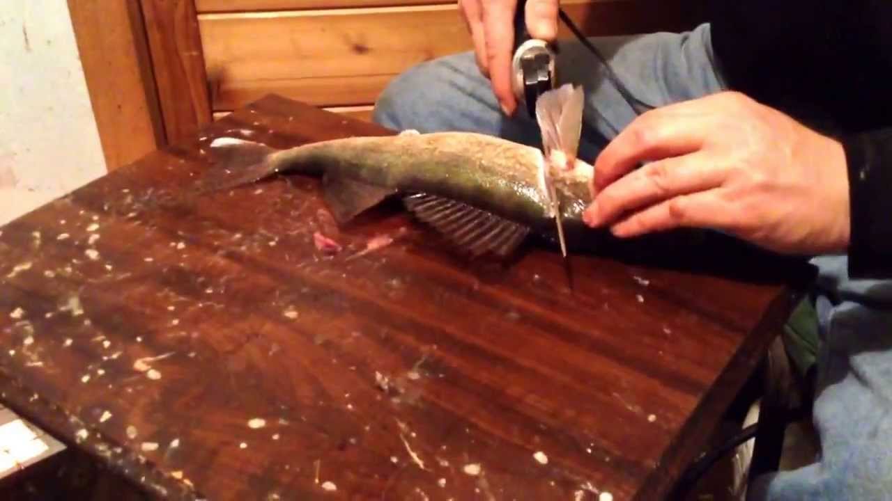 Walleye fishing Red Lake Minnesota YouTube