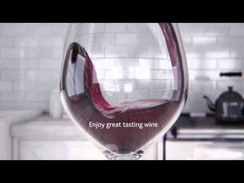 Savino Wine Preservation Glass Carafe SAV4006