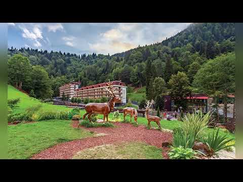 იმერული მგზავრული