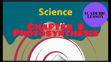 National Curriculum Class 6 Science - Chapter 5 (Photosynthesis)