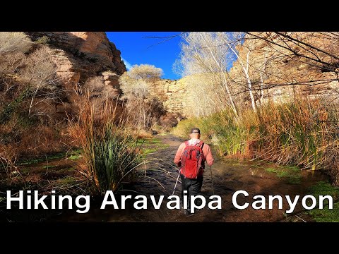 Vidéo: Comment Planifier Un Voyage De Randonnée à Aravaipa Canyon En Arizona