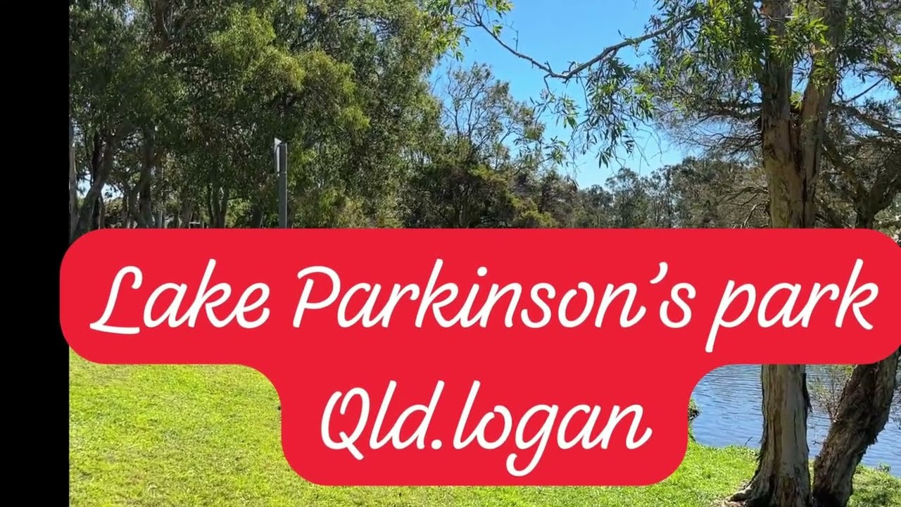 Beautiful lake and birds around,