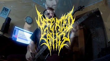 Defeated Sanity - Hideously Disembodied Bass Cover