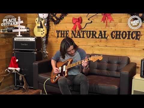 Fender Troy Van