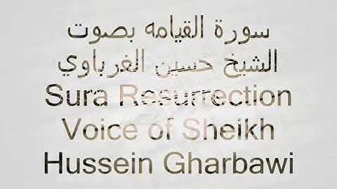 سورة القيامه..حسين الغرباوي