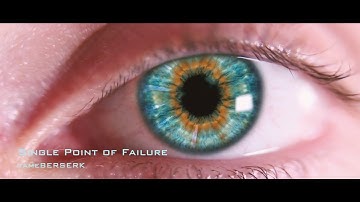 tameBERSERK - Single Point of Failure