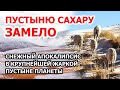 Снегопад в пустыне Сахаре. Самую крупную жаркую пустыню на Земле завалило снегом. Дурной знак?