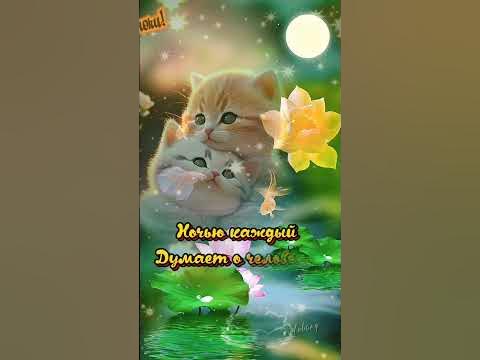#спокойнойночи - YouTube