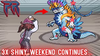 POKEROGUE 3X SHINY WEEKEND ENDLESS GRINDING... COME THROUGH GANG