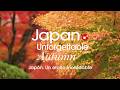 Japón. Inolvidable viaje otoñal en JAPÓN|Versión en español|JNTO