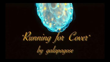 galapagose - Running for Cover (music video)