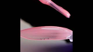 Komilfo Color Base Sunkissed Orange Komilfo Color Base Sunkissed Orange