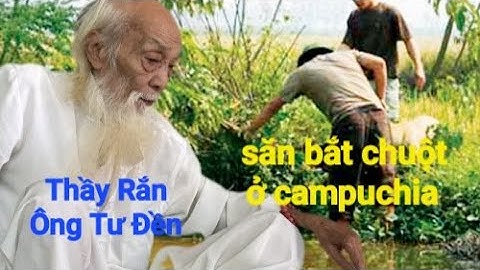 Thầy Rắn( Ông Tư Đền)qua Campuchia săn bắt hàng ngàn con chuột trên đồng cỏ