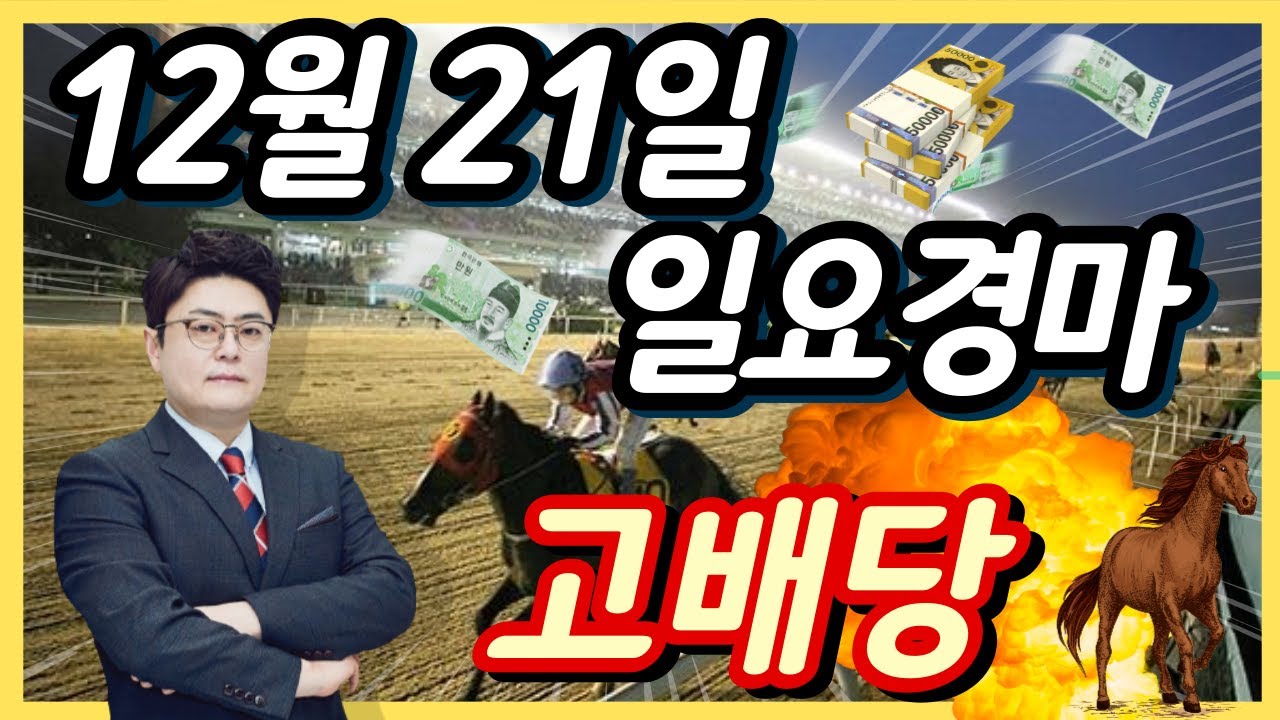 #12월21일 일요경마! 고배당 최강 분석!