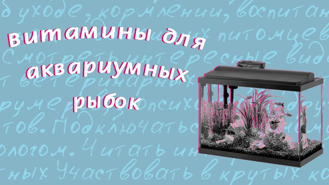 Витамины для аквариумных рыбок. - YouTube