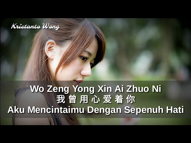 Wo Zeng Yong Xin Ai Zhuo Ni - 我曾用心爱着你 - 潘美辰 Pan Mei Chen - Aku Mencintaimu Dengan Sepenuh Hati class=