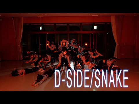 D-SIDE Class- SNAKE/Duel