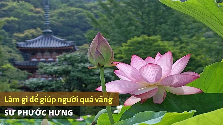 Lm g  gip ngi qu vng - Php Thoi 2022 - S Phc Hng