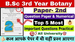 Bsc 3Rd Year Botany 2Nd Paper 2026 Bsc Final Year Botany Second Question Paper Imp Quest Answer