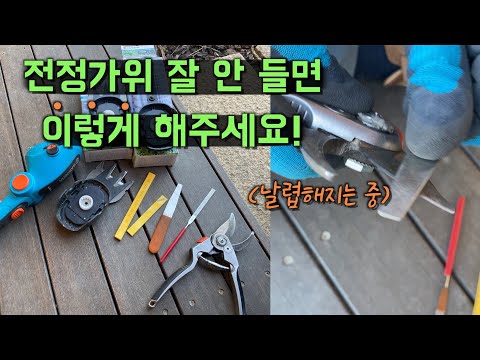 이오가 전정 가위 ✂️를 관리하는 방법! | 샤프너로 전정가위 날카롭게 갈기