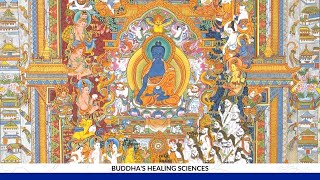 What were the Buddha's Healing Sciences? Eric Rosenbush & Robert A.F. Thurman : Sowa Rigpa Explained