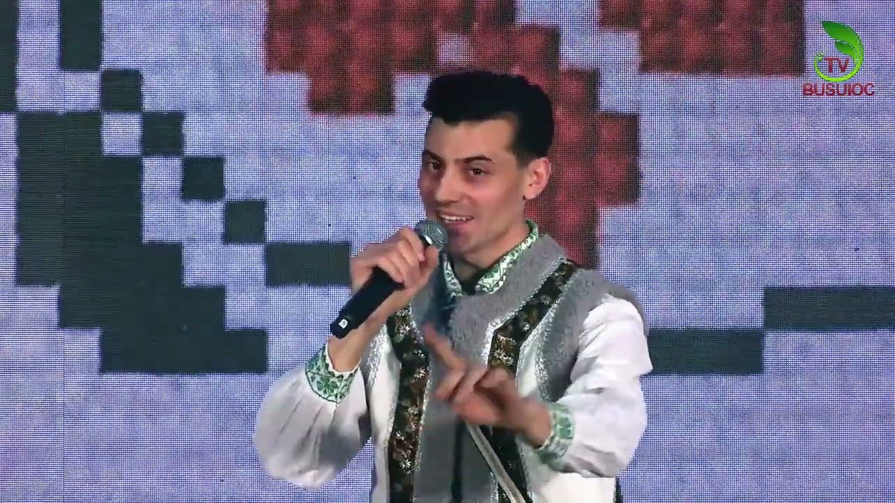 Ștefănel Pleșca  -  Ilenuța mea