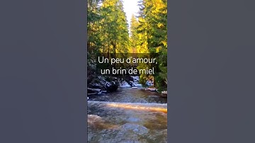 Thumbnail of Dernière Danse(Lyrics) by Indila #music #lyrics #french
