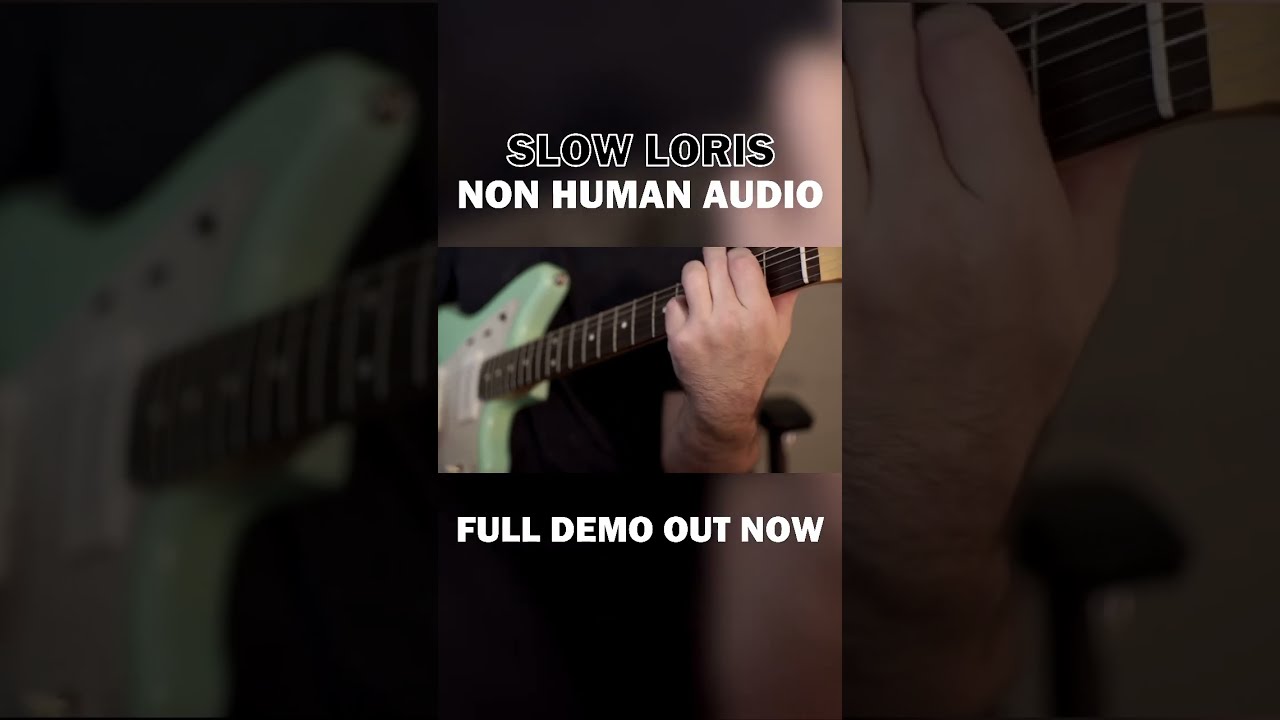 SLOW LORIS ディレイ エフェクター My New Pedal Obsession! Slow Loris - YouTube