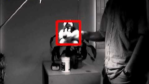 Output of the SSP tracker on the Sylvester sequence