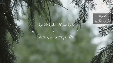 الآية رقم 29 من سورة النساء   مكررة 30 مرة