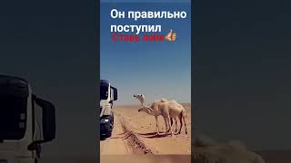 очень трогательно 😔, и мило❤️