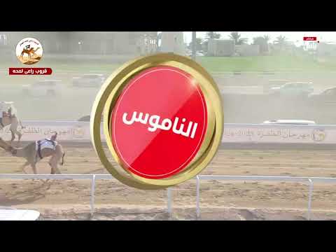 الشوط 1 كأس الحقايق بكار مفتوح عز ل معالي حميد سعيد عامر النيادي 4 20 70 مهرجان الظفرة 2025