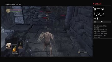 DARK SOULS 3 Deprived Class Sword Master & Vordt