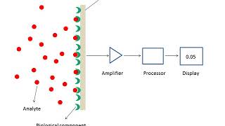 What are biosensors ?