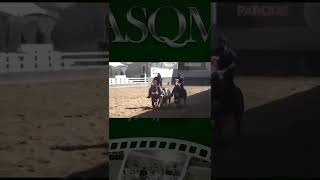 Lote 018 - Roxa Target Qdr - 9 Leilão Oficial Asqm 2022