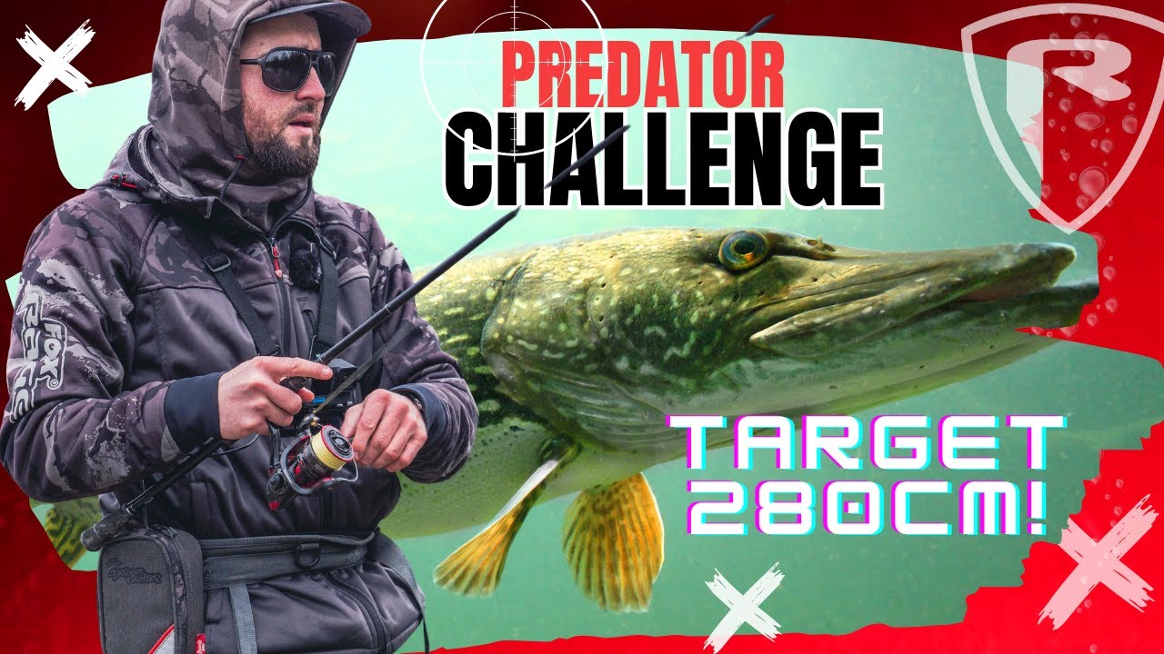Predator Challenge 2, UNFINISHED BUSINESS!