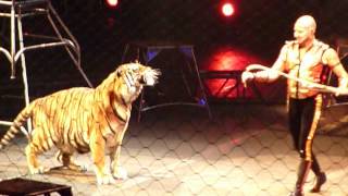 Ringling Brothers Barnum and Bailey Circus: Tiger Tamer Boston MA 10/14/2012