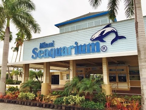 Review Miami Seaquarium - YouTube
