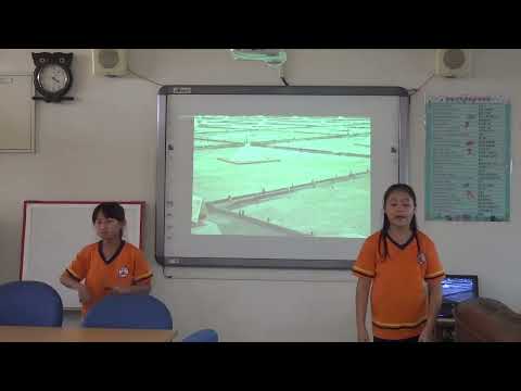 井仔腳瓦盤鹽田解說 pic