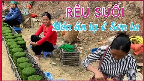 Rêu suối - món ăn độc đáo ở Sơn La