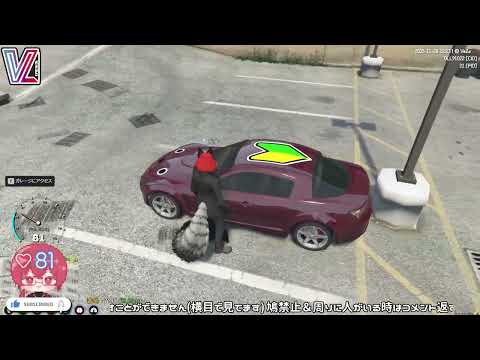 【#VeZaGTA】#GTA ひさびさすぎ #Vtuber 20251128