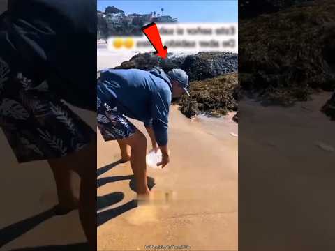 شيء لا يصدق ماذا وجد تحت الرمال على شاطئ البحر