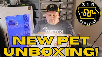 NEW Ball Python Unboxing #snakevideo