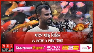 রঙিন মাছের চাষ করে লাখপতি | Rajshahi | Colour Fish Farming | Somoy TV screenshot 5